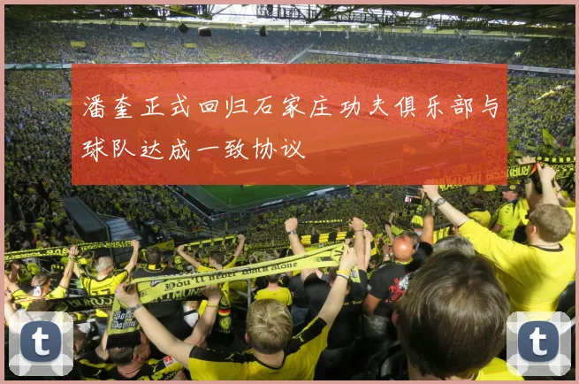 潘奎正式回归石家庄功夫俱乐部与球队达成一致协议